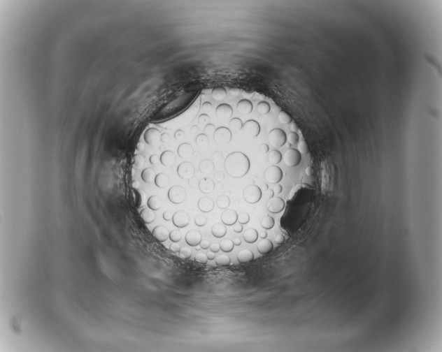 X0000099551059200805301516