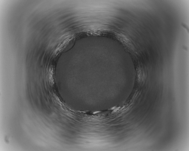 X0000099551060200805301516