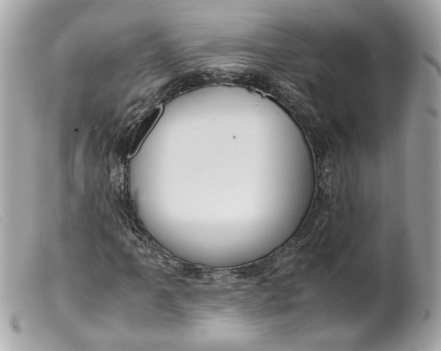 X0000099551061200805301516