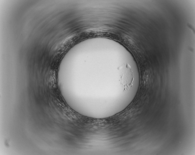 X0000099551062200805301516