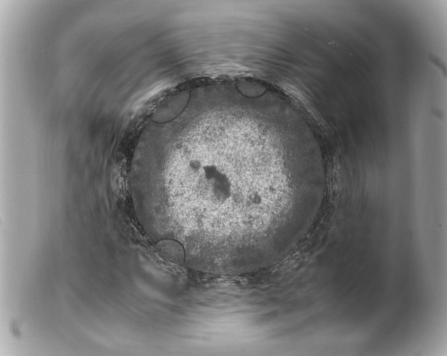 X0000099551063200805301516