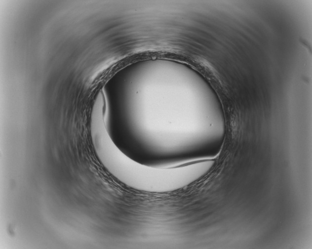 X0000099551064200805301516