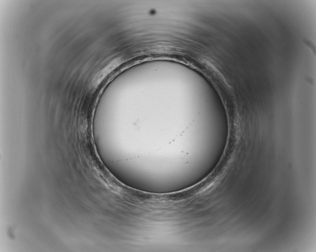 X0000099551065200805301516