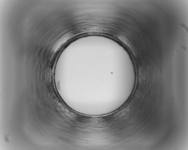 X0000099551067200805301516