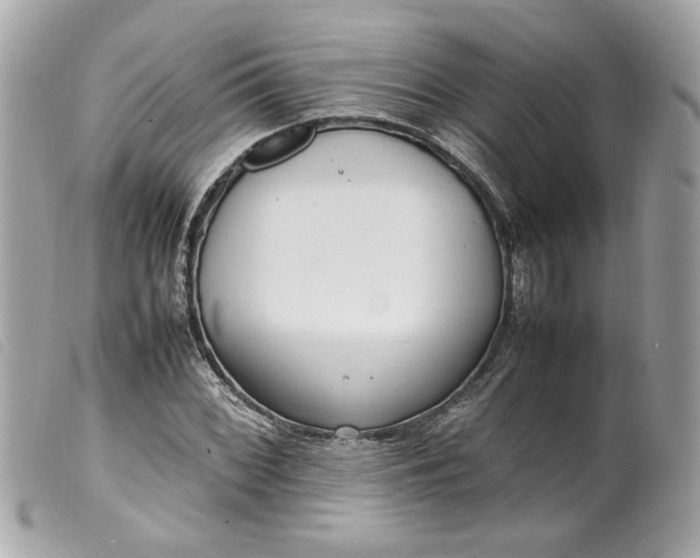 X0000099551068200805301516