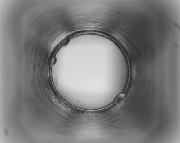 X0000099551069200805301516