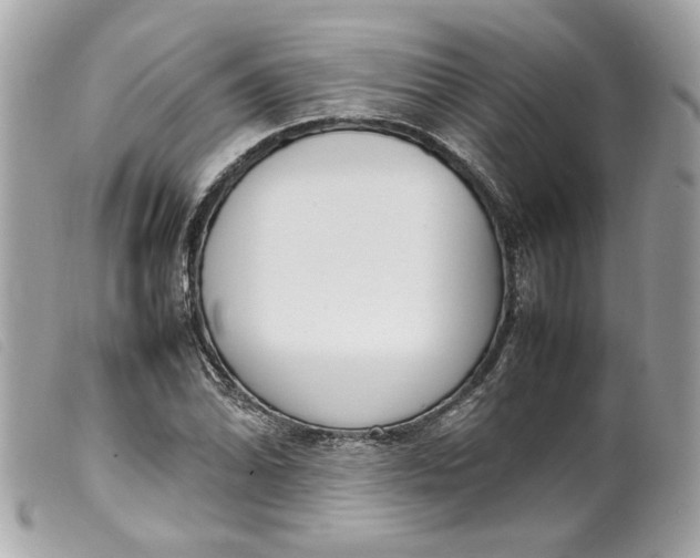 X0000099551070200805301516