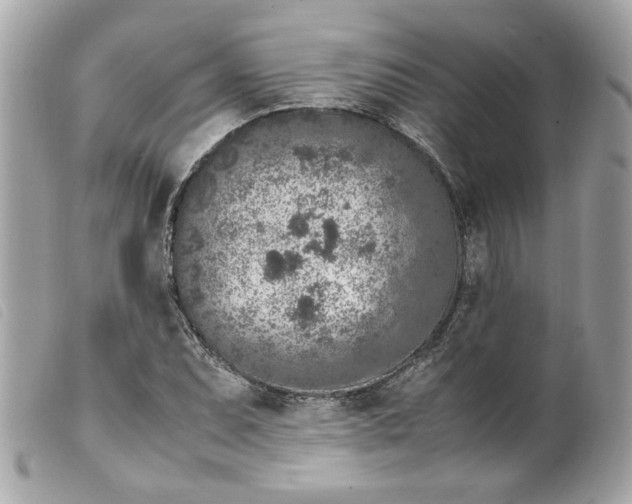 X0000099551071200805301516