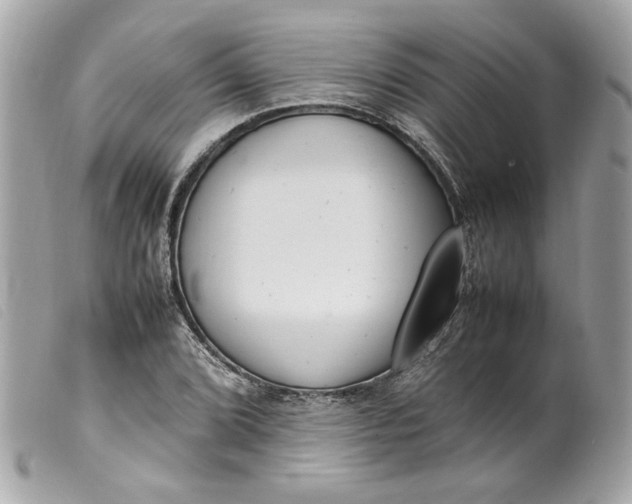 X0000099551072200805301516