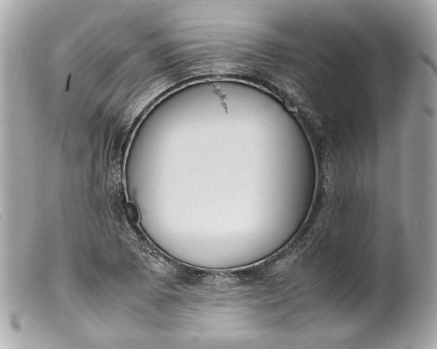 X0000099551073200805301516