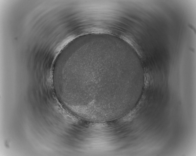 X0000099551074200805301516