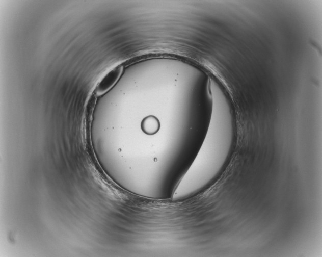 X0000099551076200805301516