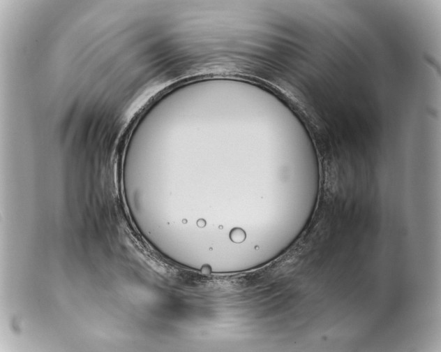 X0000099551078200805301516