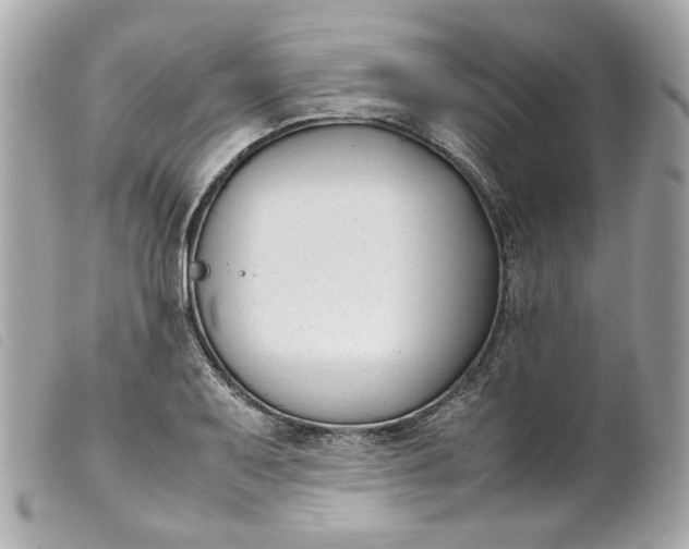 X0000099551079200805301516