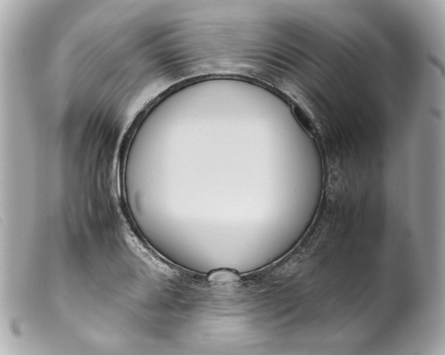 X0000099551080200805301516