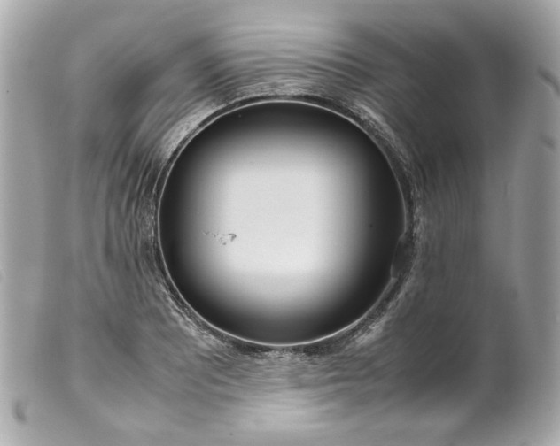 X0000099551081200805301516