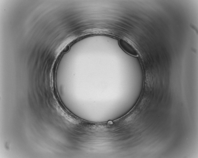 X0000099551082200805301516