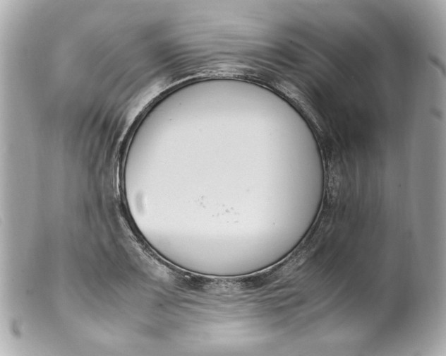 X0000099551083200805301516