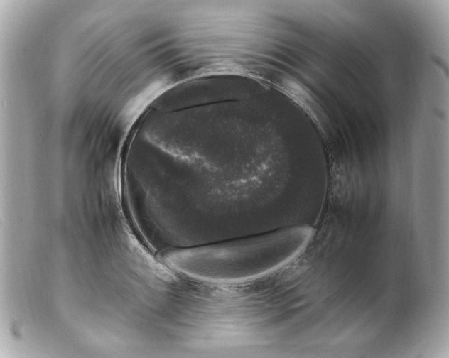 X0000099551084200805301516