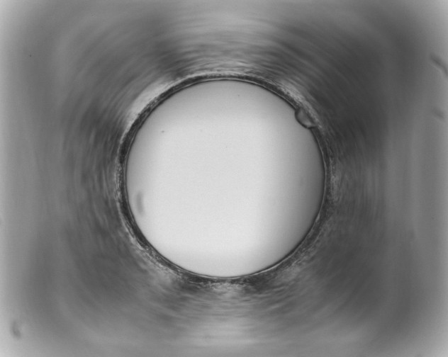 X0000099551085200805301516