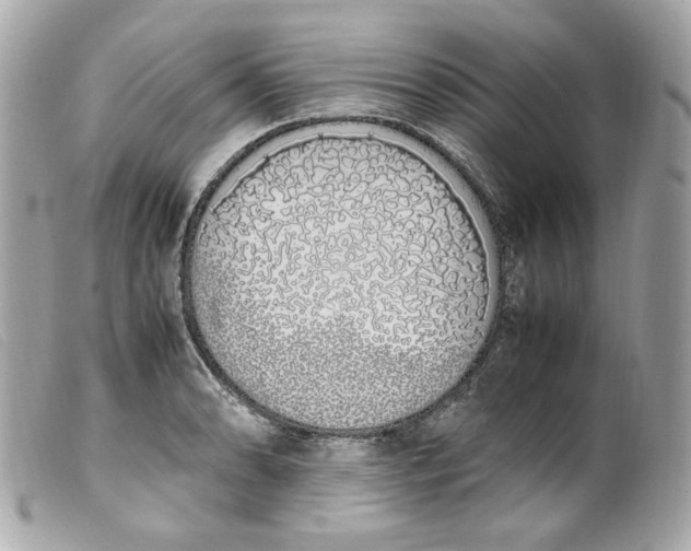 X0000099551086200805301516