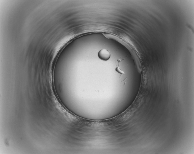 X0000099551088200805301516