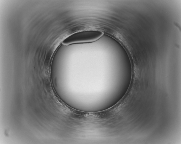 X0000099551089200805301516