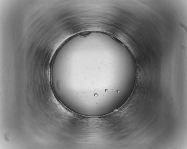 X0000099551092200805301516