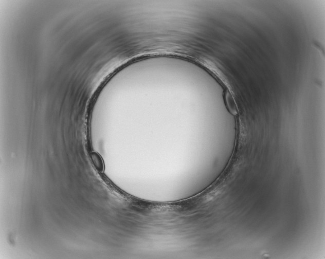 X0000099551093200805301516