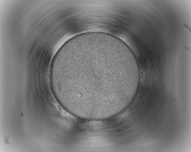 X0000099551094200805301516