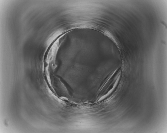 X0000099551095200805301516