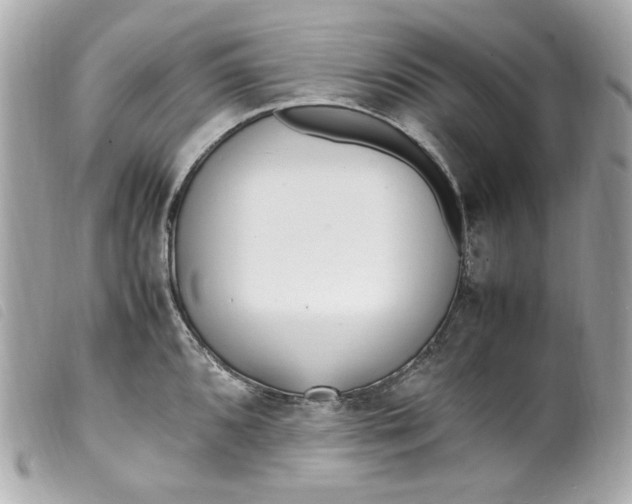 X0000099551096200805301516