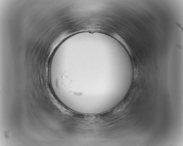 X0000099551099200805301516