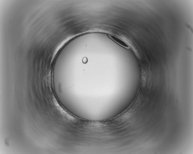 X0000099551100200805301516