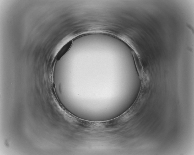 X0000099551101200805301516