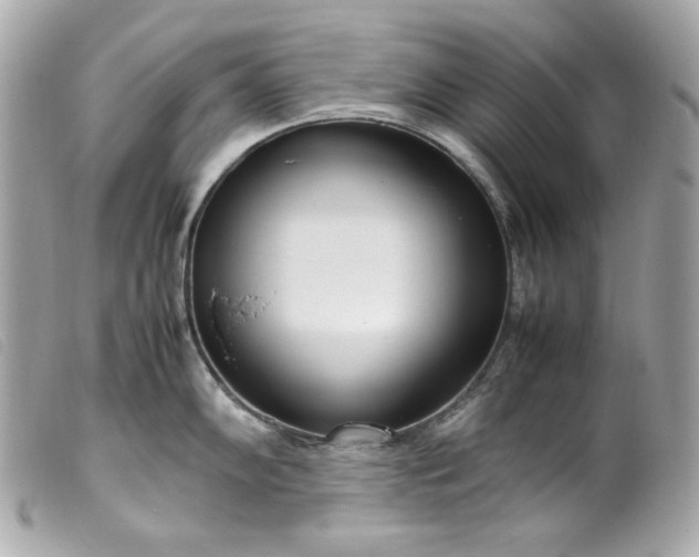 X0000099551102200805301516