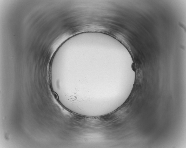 X0000099551103200805301516