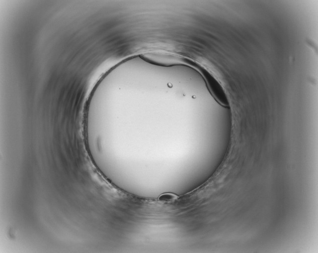 X0000099551104200805301516