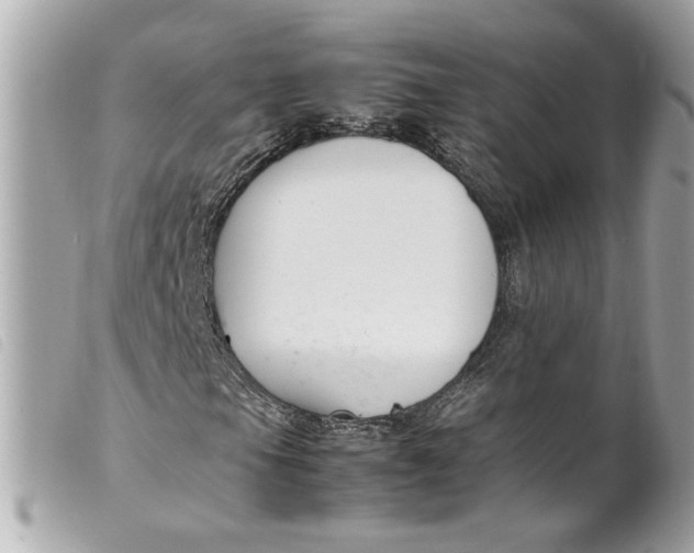 X0000099551105200805301515