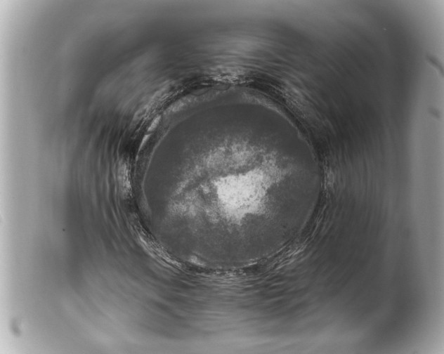 X0000099551106200805301515