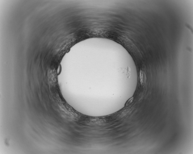 X0000099551107200805301515