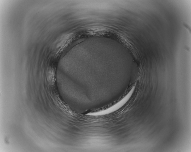 X0000099551108200805301515