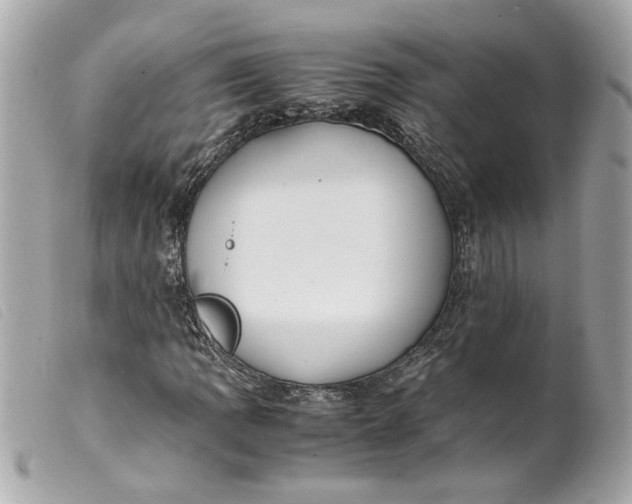 X0000099551109200805301515