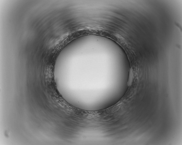 X0000099551110200805301515