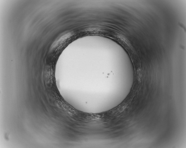 X0000099551111200805301515