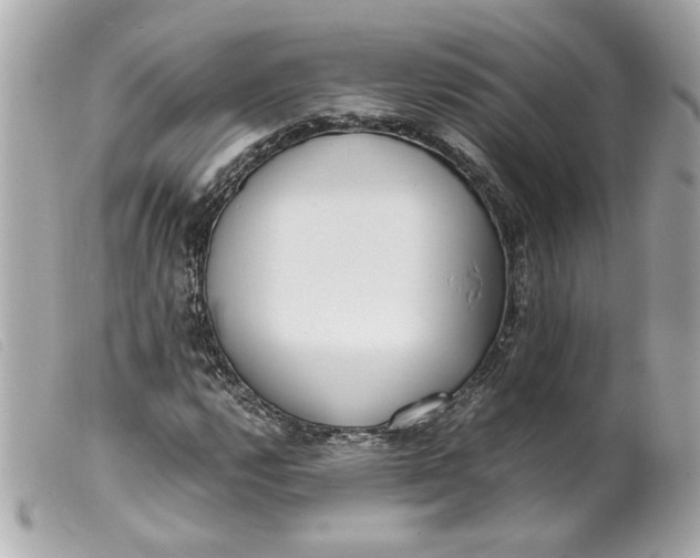 X0000099551112200805301515