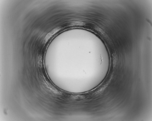 X0000099551113200805301515