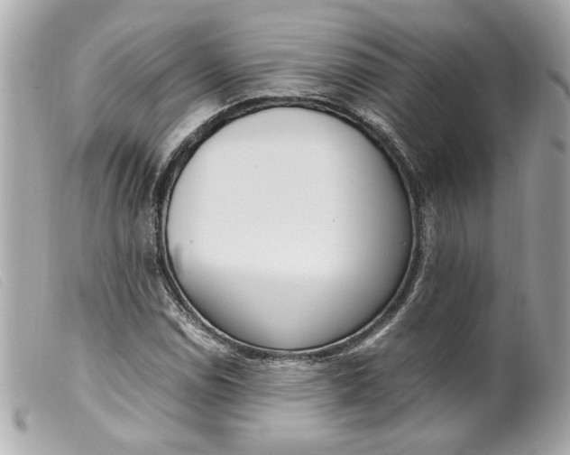 X0000099551114200805301515