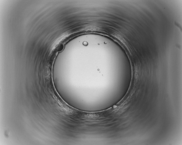 X0000099551115200805301515