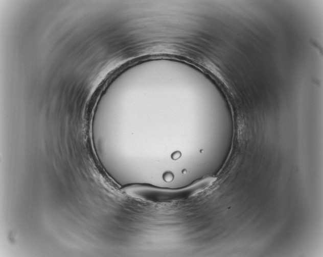 X0000099551116200805301515